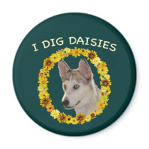 I Dig Daisies Ausky Dog Fridge Magnet