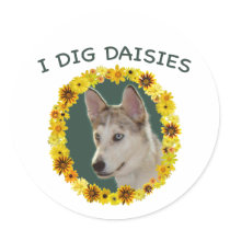 I Dig Daisies Ausky Dog