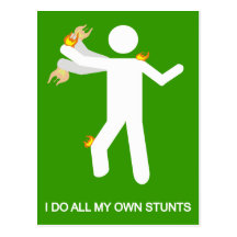 I DO ALL MY OWN STUNTS POST CARD