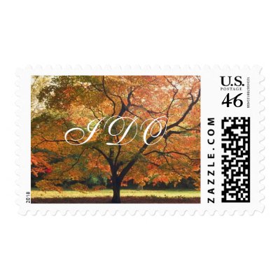 I DO Autumn Wedding Fall Wedding Invitation Stamps