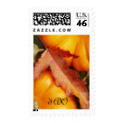 postcard - Learn more about the beautiful fall wedding invitation postage stamps and autumn wedding invitation postage stamps below by clicking on any of the stamps:






Fall In Love 







I Do Wedding 





Fall Wedding Postage 





RSVP Postage Stamp




Autumn Love





Autumn Wedding Invitation 

Postage




RSVP Autumn Hearts Postage 

Stamp





Fall In Love Wedding Postage 

Stamp




Fall In Love Wedding Postage 

Stamp





Love In Fall Wedding Postage 

Stamp






Fall Autumn Wedding Stamps 

Postage





Fall In Love Autumn Wedding Postage Stamp




Our Wedding Brown Colors





Fall In Love Autumn Wedding Postage Stamp




Autumn Wedding Postage Stamp





Fall Wedding Green Theme




Autumn Wedding Postage Stamp





Our Wedding Custom Postage Stamp




RSVP Fall Wedding Postage Stamp





Love In Autumn Pumpkin Wedding Postage Stamp




Fall Wedding Design Background






Fall In Love Autumn 

Wedding Postage Stamp




