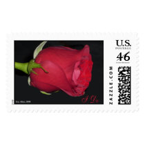 I Do Rose Postage stamps