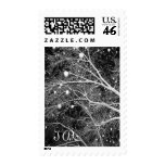 I Do Winter Wedding Christmas Wedding Holiday Stamps