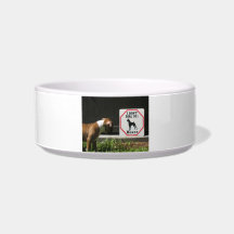 I Don't Dial 911 Boxer Dish Pet Food Bowls