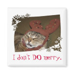 I don't DO merry.  Cat with Antlers Magnet!!