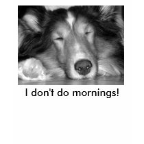I don't do mornings! Sleeping sheltie shirt