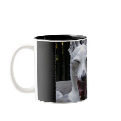 "I Don't Get It" , modern dog photo Mug by RLMdesignes