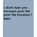 I don't hate you because your fat your fat beca... t-shirts