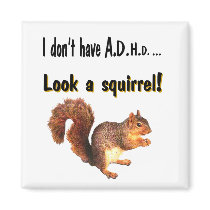 I don't have A.D.H.D .... Look a Squirrel Magnets