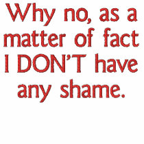 I Don't Have Any Shame Embroidered T-shirt embroidered shirts