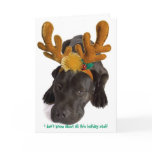 i don't know about all this holiday stuff cards