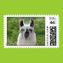 I don't know I like my new haircut? Postage postage