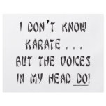 I DON'T KNOW KARATE T-SHIRTS AND GIFTS flyers
