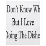 I Don't Know Why But I Love Doing The Dishes Full Color Flyer