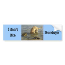 I don't like Mondays bumper stickers