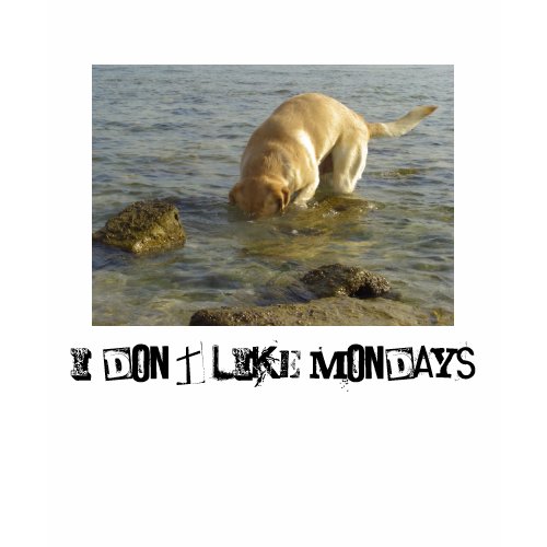 I don't like Mondays shirt