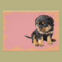 I Don't Need To Be Told I Am Cute. invitations