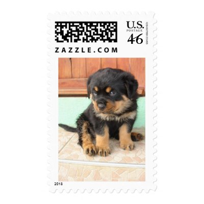 I Don't Need To Be Told I Am Cute Postage Stamps by taiche