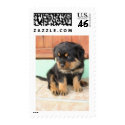 I Don't Need To Be Told I Am Cute postage