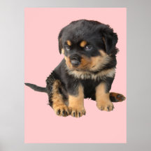 I Don't Need To Be Told I Am Cute Posters