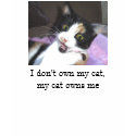 I don't own my cat, my cat owns me T shirt