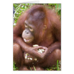I Don't Share #2 - wildlife Card