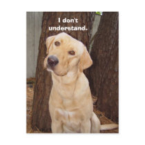 I don't understand. postcards