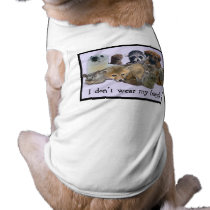 I Don't Wear My Friends pet clothing