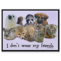 I Don't Wear My Friends flyers by ppprincess1 I Don't Wear My Friends flyers