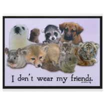 I Don't Wear My Friends letterhead by ppprincess1 I Don't Wear My Friends letterhead