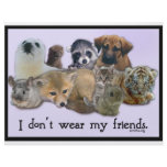 I Don't Wear My Friends Custom Letterhead
