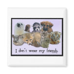 i Don't Wear My Friends magnets