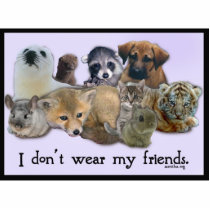 I Don't Wear My Friends photo sculptures