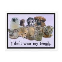 I Don't Wear My Friends postcards