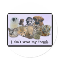 I DOn't Wear My Friends stickers