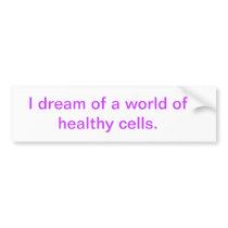 I dream.... bumper sticker
