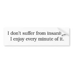 I Enjoy Insanity Bumper Sticker bumpersticker