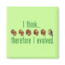 I Evolved Magnets