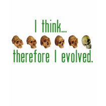 I Evolved Women's Shirts
