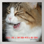 , I feel like a tiny bird with a big son... Poster