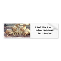 I Feel like I am a Golden Retreiver Taxi Service bumper stickers