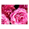 I feel loved_ Poster_by Elenne Boothe posters