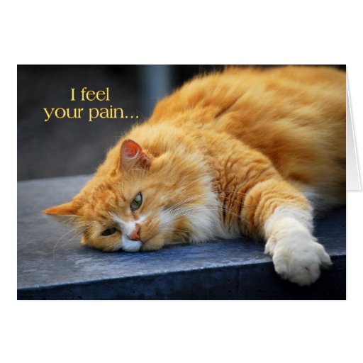 i_feel_your_pain_feel_purr_fect_soon_orange_cat_card-r213051fbf5554c12908dabf31c11f08d_xvuak_8byvr_512.jpg