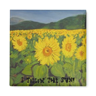 I follow the sun! magnet