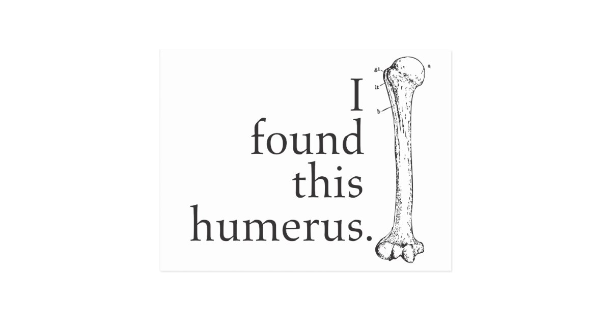 i have found this humerus