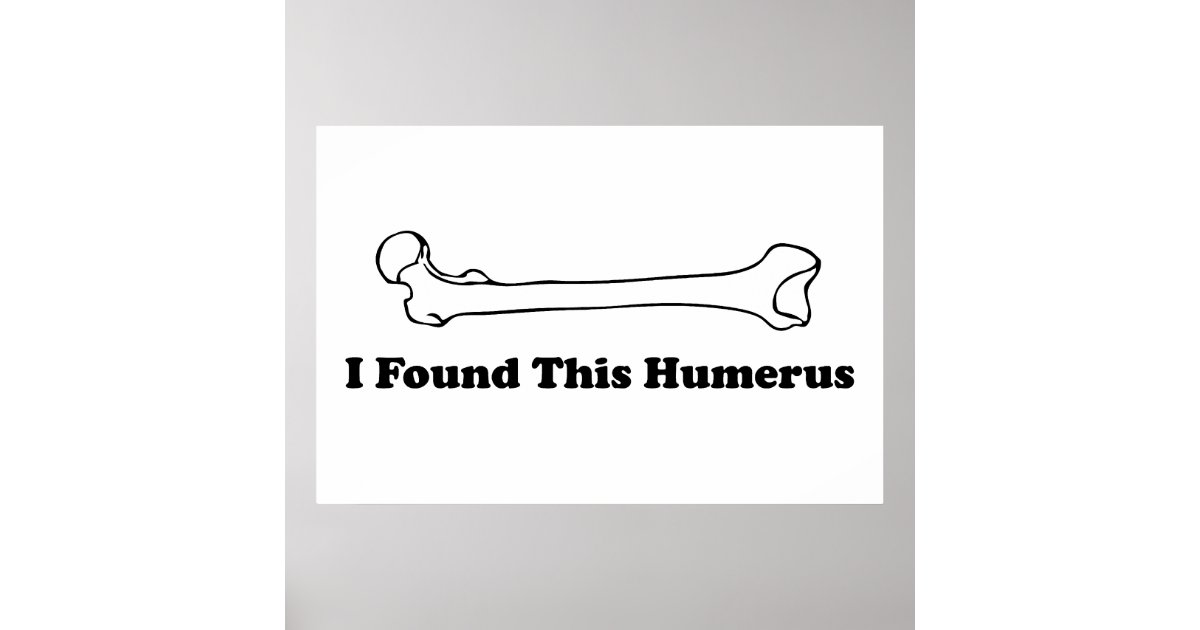 i have found this humerus