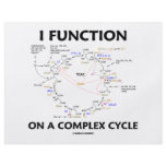 I Function On A Complex Cycle (Krebs Cycle Humor) flyers