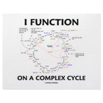 I Function On A Complex Cycle (Krebs Cycle Humor) letterhead