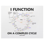 I Function On A Complex Cycle (Krebs Cycle Humor) Letterhead Design