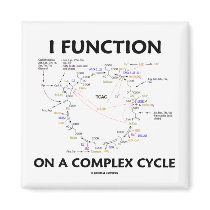 I Function On A Complex Cycle (Krebs Cycle Humor) Refrigerator Magnets